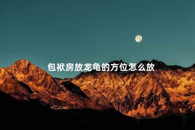 包袱房放龙龟的方位怎么放