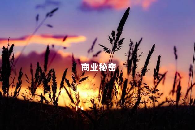 什么是商业秘密 商业秘密指的是什么