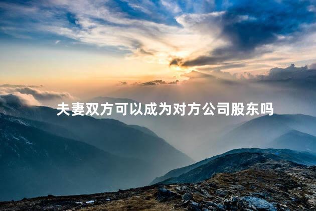 夫妻双方可以成为对方公司股东吗