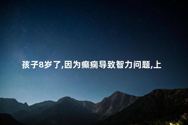 孩子8岁了因为癫痫导致智力问题上不了小学