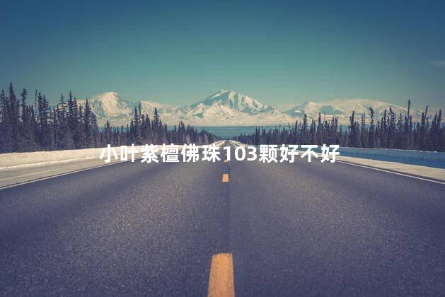 小叶紫檀佛珠103颗好不好