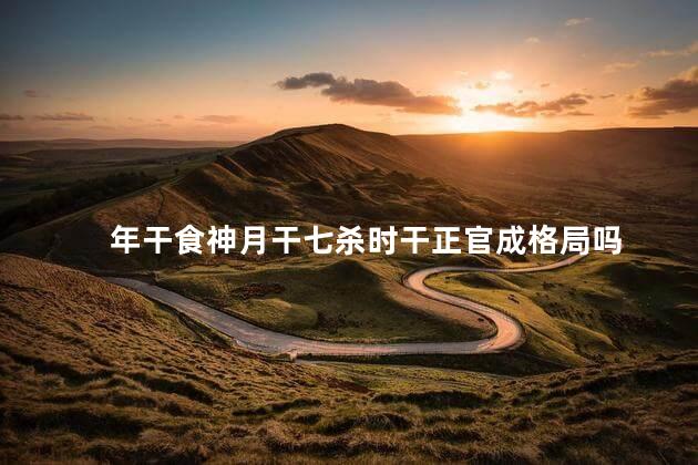 年干食神月干七杀时干正官成格局吗