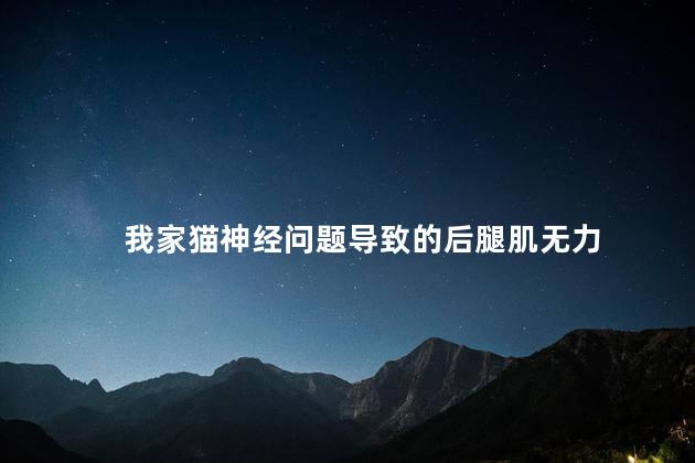 我家猫神经问题导致的后腿肌无力
