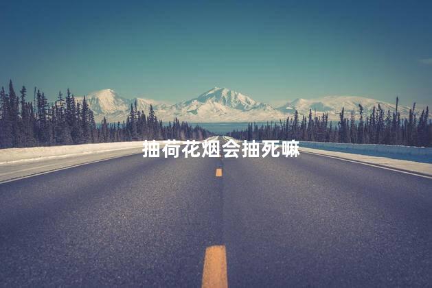 抽荷花烟会抽死嘛