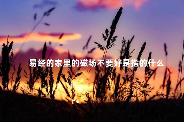 易经的家里的磁场不要好是指的什么