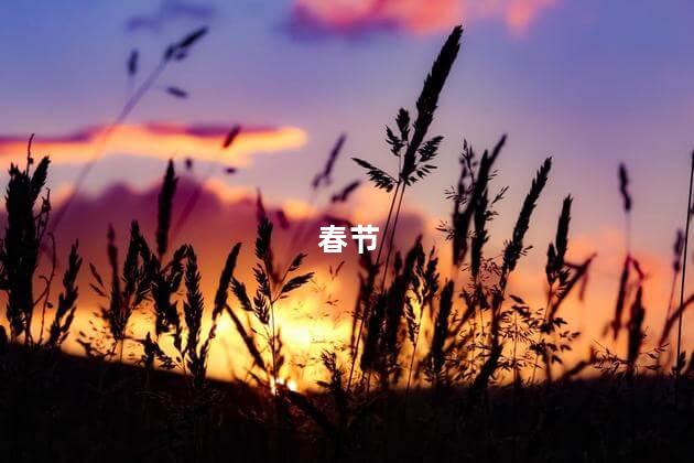 什么是春节 春节是什么时候