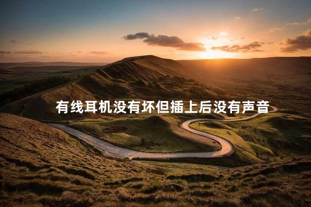 有线耳机没有坏但插上后没有声音