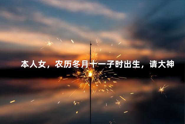 本人女，农历冬月十一子时出生，请大神赐教一生的运程如何