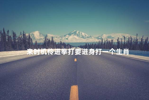 来时机伶进拳打要进身打一个生肖