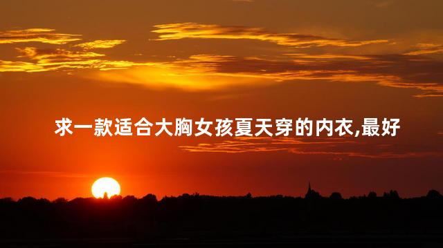求一款适合大胸女孩夏天穿的内衣，最好能显瘦