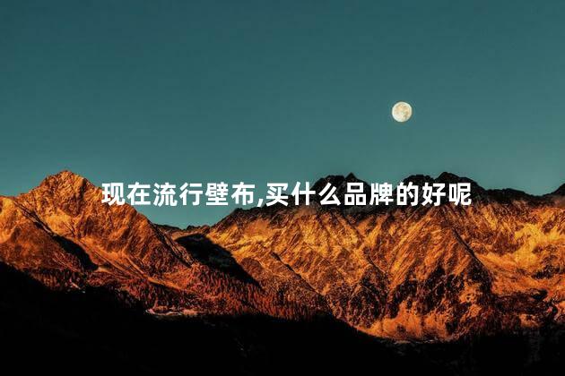 现在流行壁布，买什么品牌的好呢