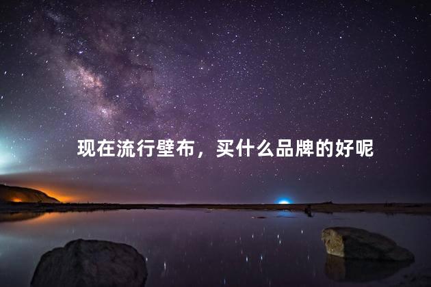 现在流行壁布，买什么品牌的好呢