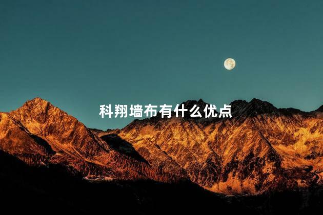 科翔墙布有什么优点