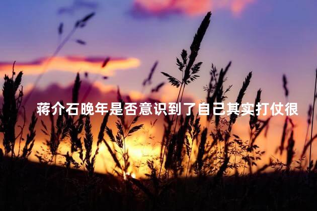 蒋介石晚年是否意识到了自己其实打仗很菜