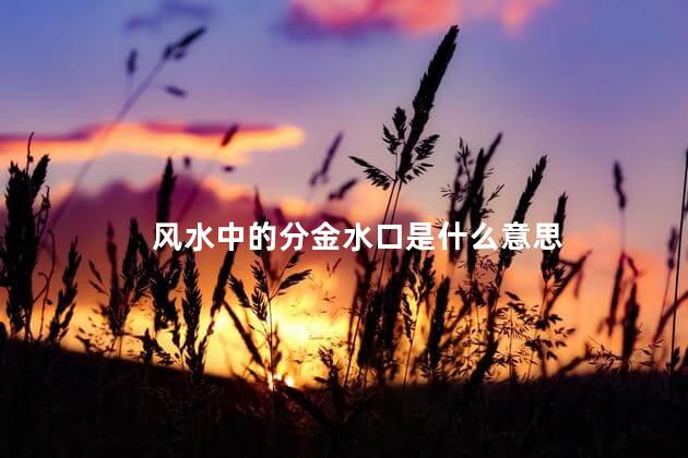 风水中的分金水口是什么意思