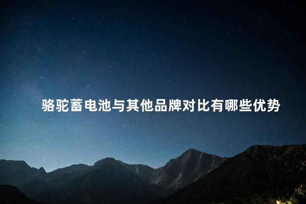 骆驼蓄电池与其他品牌对比有哪些优势