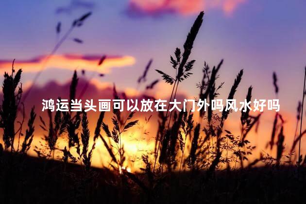 鸿运当头画可以放在大门外吗风水好吗